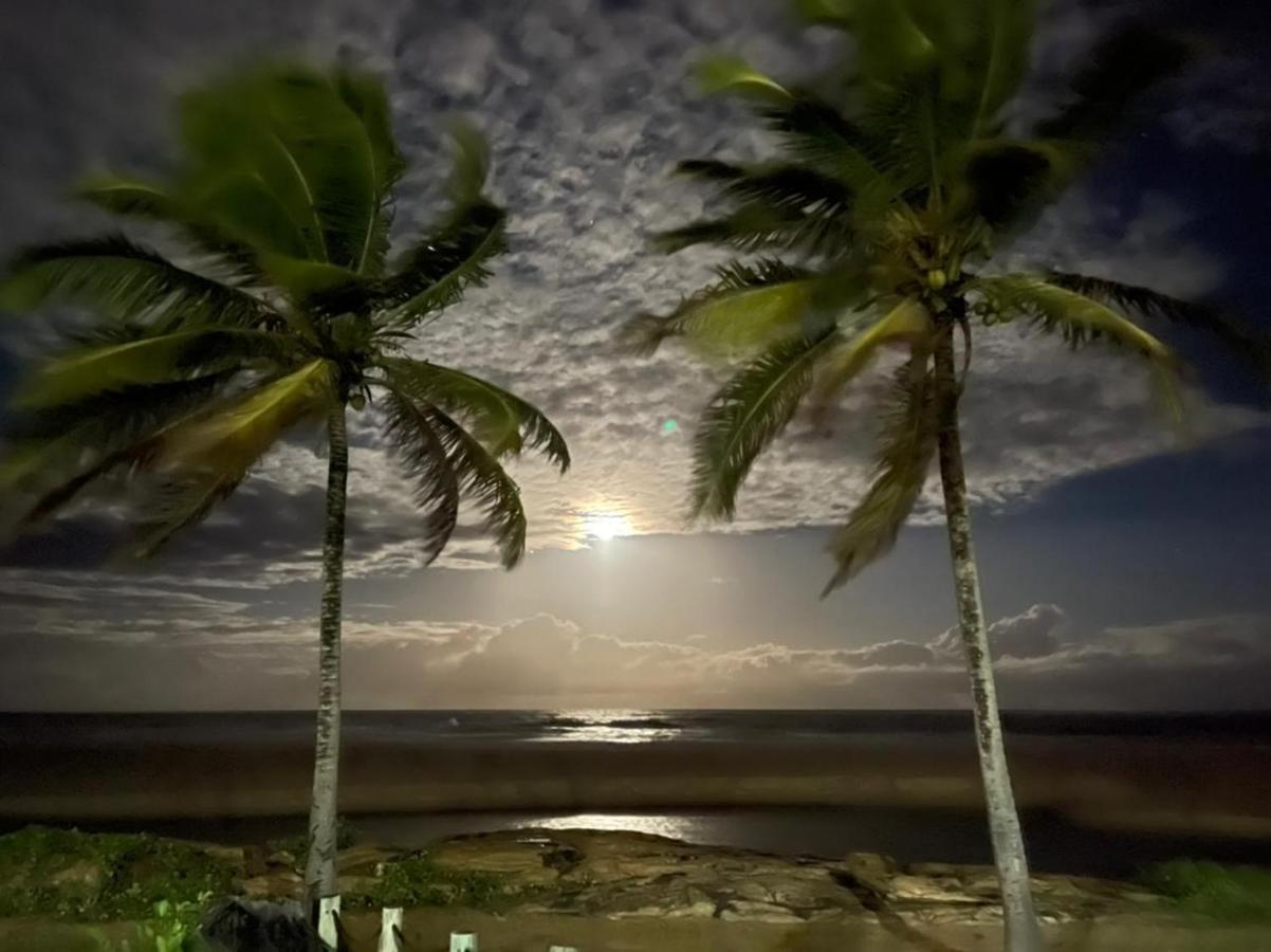 Maravilhoso Garden Imbassai Pe Na Areia Bahia Litoral公寓 外观 照片