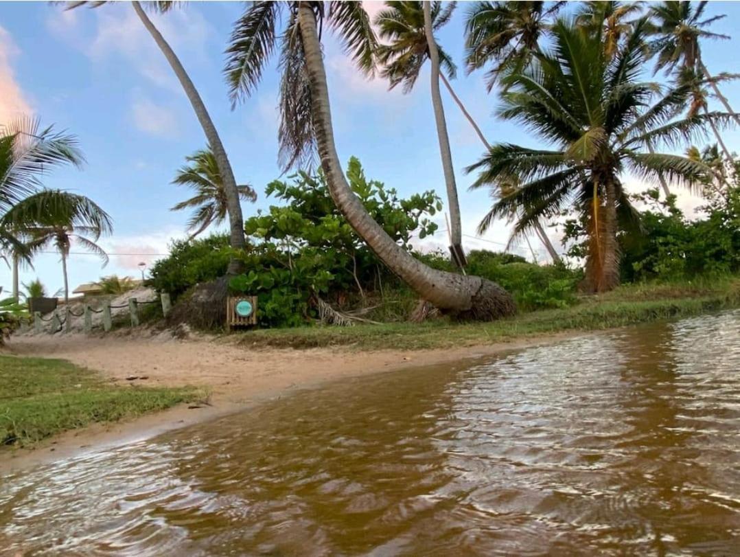 Maravilhoso Garden Imbassai Pe Na Areia Bahia Litoral公寓 外观 照片